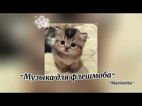 Видео: ~Музыка для флешмоба~