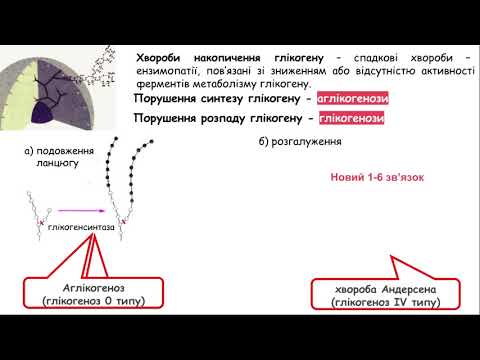 Видео: 4. Хвороби глікогену. Частина 1