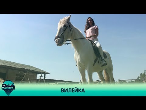 Видео: Вилейка. Маршрут построен 18.05.2019