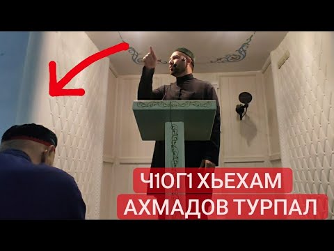 Видео: Хьехам (Ч1ог1а кхерам) (Хаза кхаъа)