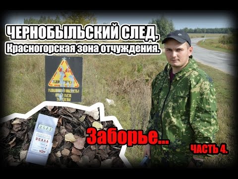 Видео: Чернобыльский след. Красногорская зона отчуждения (КгЗО). Село Заборье.