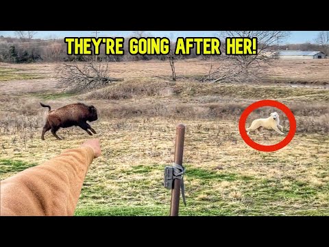 Видео: Пришло время расстаться!