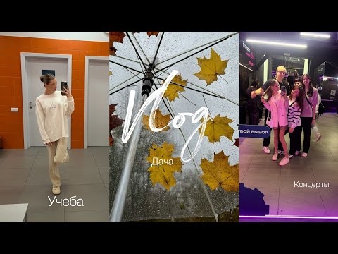 Видео: Vlog | мои будни | учеба | концерт