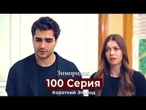 Видео: Зимородок 100 Cерия (Короткий Эпизод) (Русский дубляж)