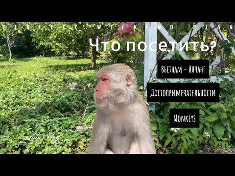 Видео: Путешествие по Вьетнаму Нячанг. Что посмотреть? Достопримечательности, остров обезьян, водопад БаХо.
