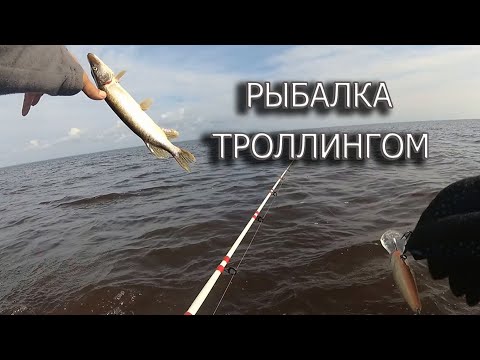 Видео: Рыбалка троллингом. Щука и судак на троллинг, озеро Ильмень