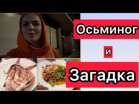 Видео: VLOG Осьминог и загадка