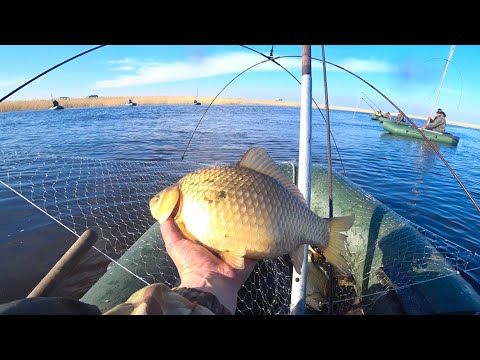 Видео: ВЕСЕННЯЯ РЫБАЛКА НА ПАУК С ЛОДКИ. РЫБА ПОШЛА! КАРАСИ ГИГАНТЫ на ПАУК ПОДЪЁМНИК. Рыбалка 2022