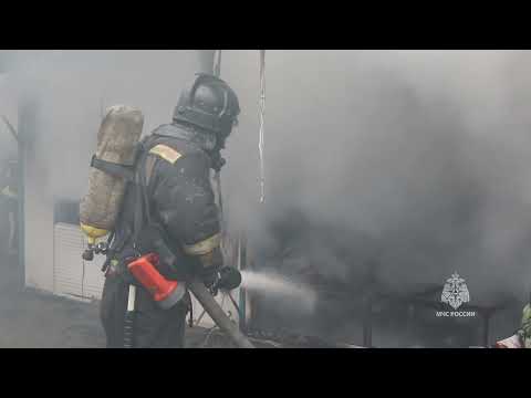 Видео: Приложение (Видеоматериал)