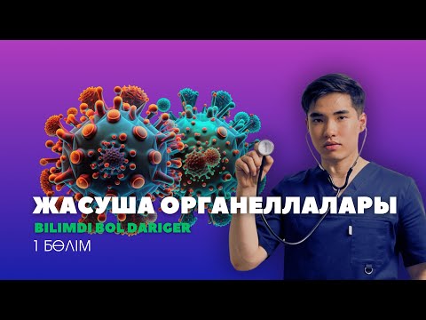 Видео: МОЛЕКУЛЯРЛЫҚ БИОЛОГИЯ  1-ШІ САБАҚ  І  ЖАСУША ҚҰРЫЛЫСЫ  І  ОРГАНЕЛЛАЛАР  І  ЯДРО РИБОСОМА ДЕГЕН НЕ?