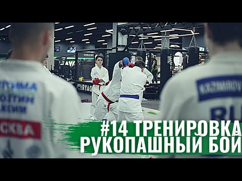 Видео: #14 Тренировка - Рукопашный бой | Серии на лапах