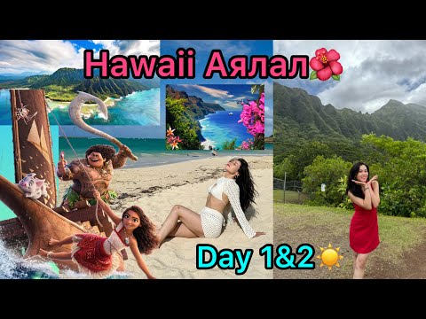 Видео: 🌊Hawaii Moana-гийн Арал😍