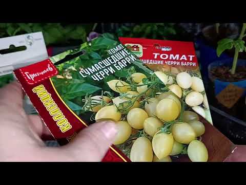 Видео: 🌷🌷🌷С НАСТУПАЮЩИМ ПРАЗДНИКОМ 🌷🌷🌷 Обзор рассады. Семена. Небольшие покупки для дачи ⭐