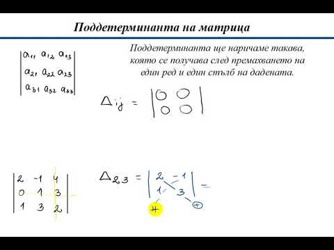Видео: Поддетерминанта на матрица