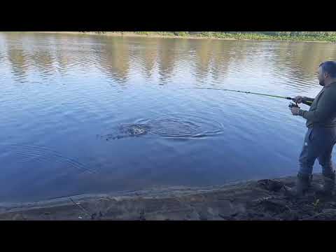 Видео: Рыбалка 19.08.2025г