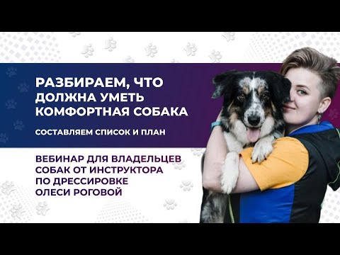 Видео: “ЧТО ДОЛЖНА УМЕТЬ КОМФОРТНАЯ СОБАКА. Составляем список и план”. Вебинар №1 из серии эфиров.