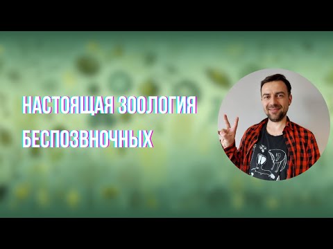 Видео: Беспозвоночные: современные подходы к изучению животных | Дмитрий Нечаев