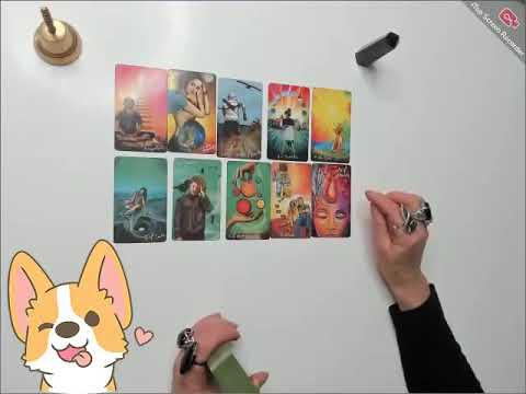 Видео: Собака лает, караван идет - или на кого не стоит обращать внимания. и Почему?