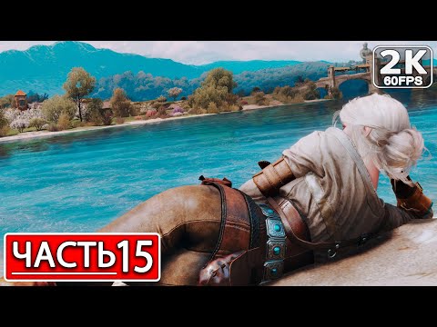 Видео: THE WITCHER 3: WILD HUNT Полное Прохождение Часть 15 ВЕДЬМАК 3 ДИКАЯ ОХОТА #shorts