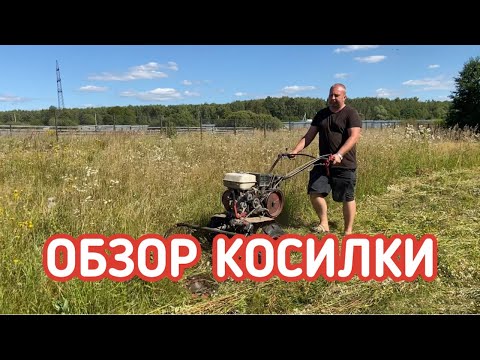 Видео: Чем косить траву? Много травы. Мотоблок МБ и косилка Заря.