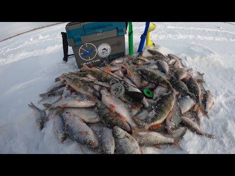 Видео: ПОСЛЕДНИЙ ЛЁД! ОТРЫВ ПО ПЛОТВЕ! ОКУНЕЙ НАШЛИ ПОД ВЕЧЕР, но половить мне их не дали. ЗАКРЫТИЕ СЕЗОНА!