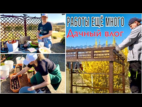 Видео: Подстраиваться не буду… это моё мнение /  Навес для томатов готов / Высадила цветы