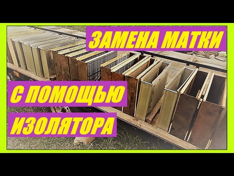 Видео: Ежегодная смена матки с помощью изолятора.