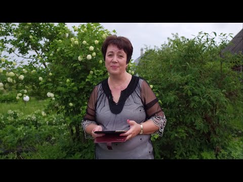 Видео: 1739. Хлеб на каждый день. Господь избавляющий.