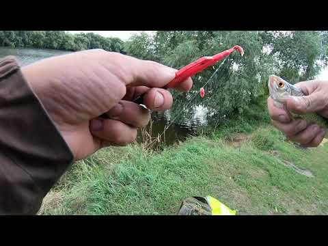 Видео: Ловля на фидер в окрестностях г. Лыткарино