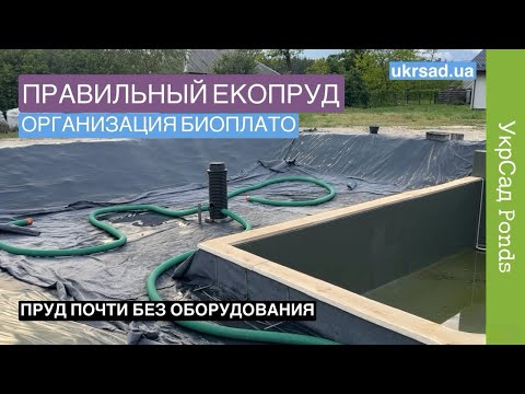 Видео: Правильный ЕкоПруд Рассказ о создании биоплато, зоны с растениями, зоны регенерации