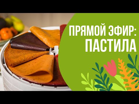 Видео: Прямой эфир: пастила