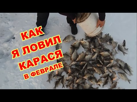 Видео: Ловлю карася в феврале в глухозимье.