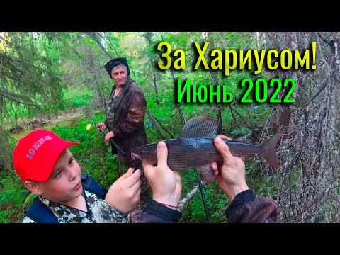 Видео: Рыбалка на лесной речке. Ловля хариуса на удочку. Костёр, уха из хариуса и просто отличный отдых.