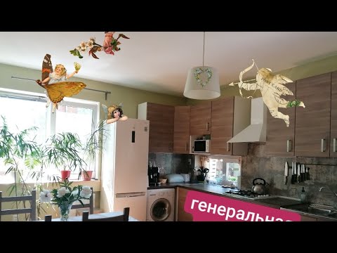 Видео: Генеральная уборка на кухне 🧹🧼💨🐦🐻