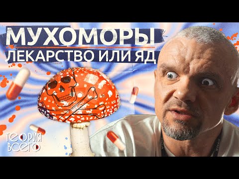 Видео: Микродозинг мухоморов / Мухомор — это лекарство? / Галлюциногенные грибы | Теория Всего