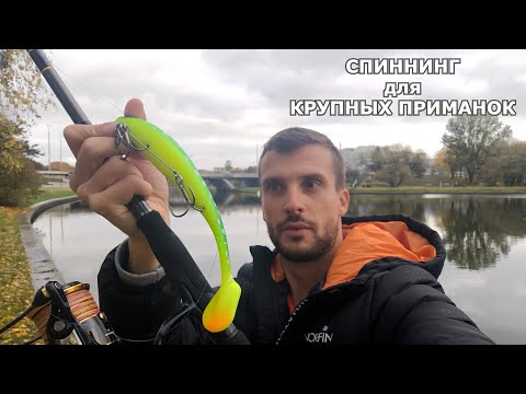 Видео: Спиннинг под бигбейты Maximus Resident BB. 