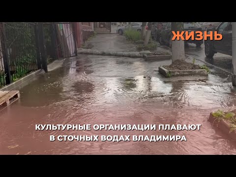 Видео: Культурные организации плавают в сточных водах Владимира