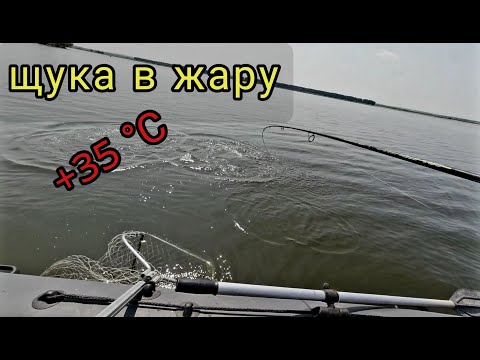 Видео: Ловля щуки в жару. Налупил щук с одной точки.