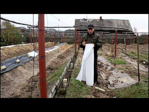 Видео: Укрытие винограда в реальном времени. Серия 122.