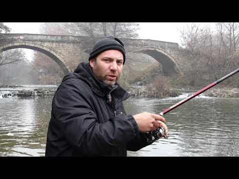 Видео: КЕФАЛ НА ПЛУВКА НА РЕКА ''ЧАЯ''_DIGITALSTUDIOBG