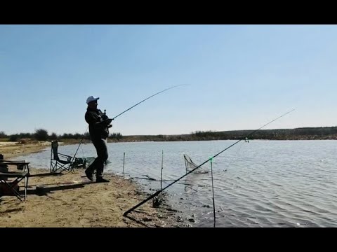 Видео: ЛЮТЫЙ ЖОР на ДОНКИ! Просто НА ЧЕРВЯ. Рыбалка на донки