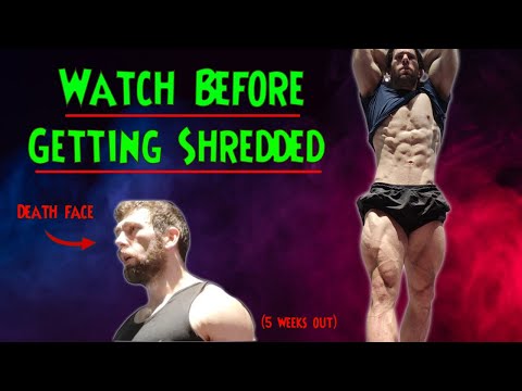 Видео: Мой 6-месячный опыт работы в SHREDD (конец был тяжелым)