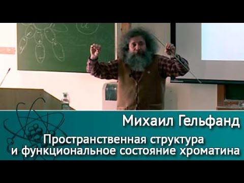 Видео: Пространственная структура и функциональное состояние хроматина. Лекция профессора М.Гельфанда