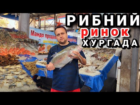 Видео: Рибний ринок в Хургаді.Пошуки дешевих кальмарів в Єгипті.