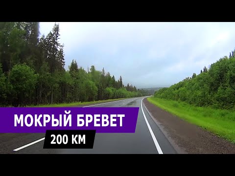 Видео: Мокрый бревет. Пермь-Кунья-Пермь 200 км