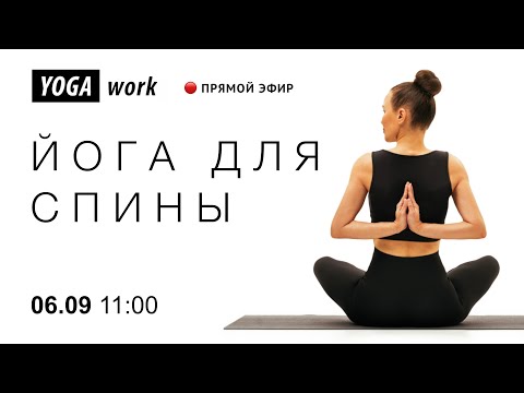 Видео: Йога для спины | для начинающих | здоровая спина