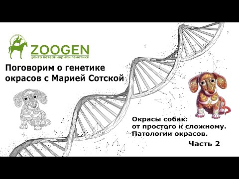 Видео: Поговорим о генетике окрасов собак с Марией Сотской. Часть 2.