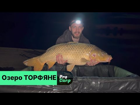 Видео: Озеро Торфяне. Карпи 10+ не дають спати