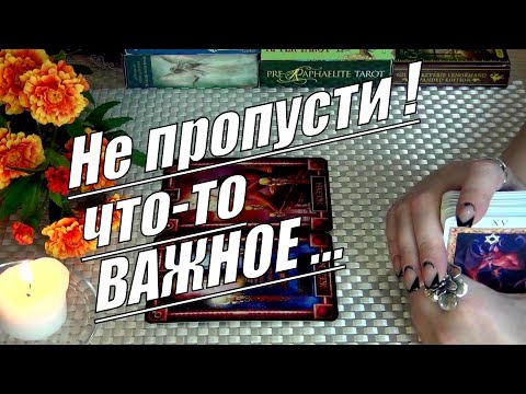 Видео: ⚡ЭТИ СОБЫТИЯ УЖЕ БЛИЖЕ⚡ЧЕМ ВАМ КАЖЕТСЯ...🍀♥️ Гадание Таро