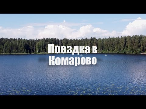 Видео: На недельку до второго... Небольшая прогулка Комарово